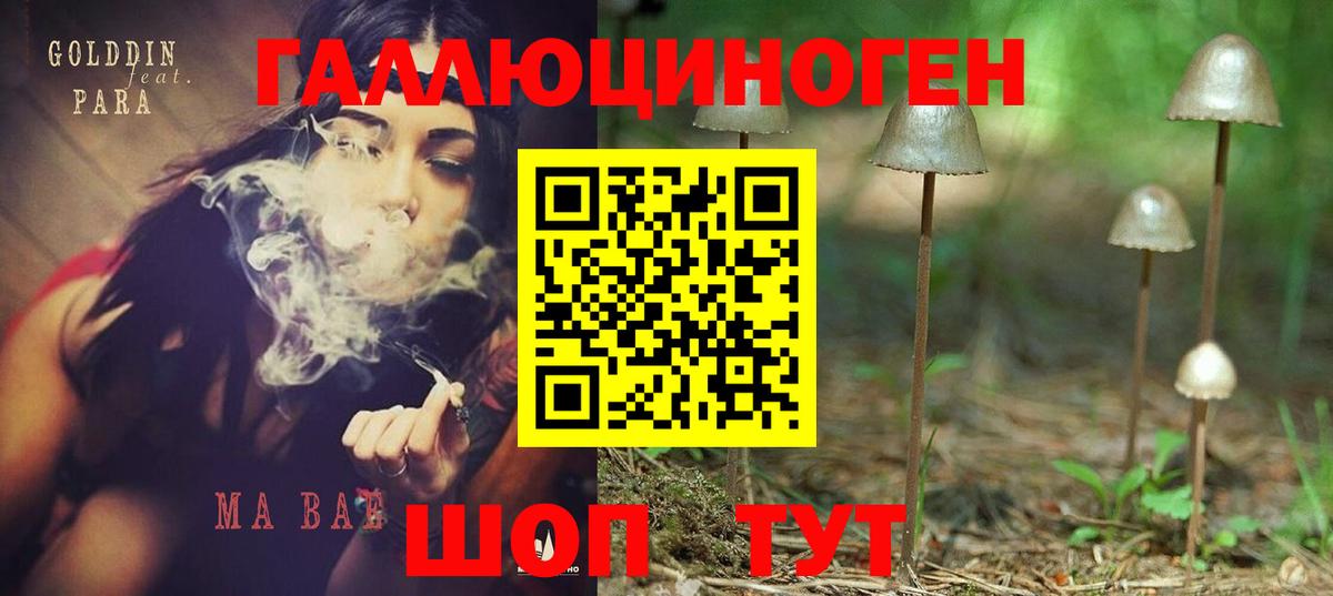 Гатчина  Галлюциногенные грибы мухоморы  Вход с VPN 